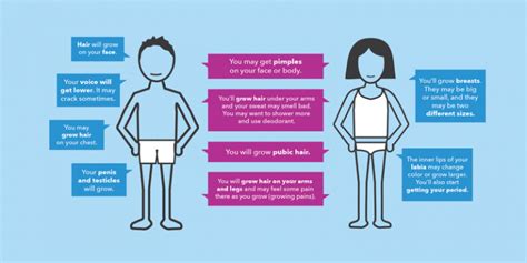 tiny teen masturbation|Stages of Puberty Explained in Pictures